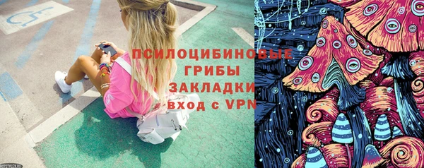 прущая мука Михайлов