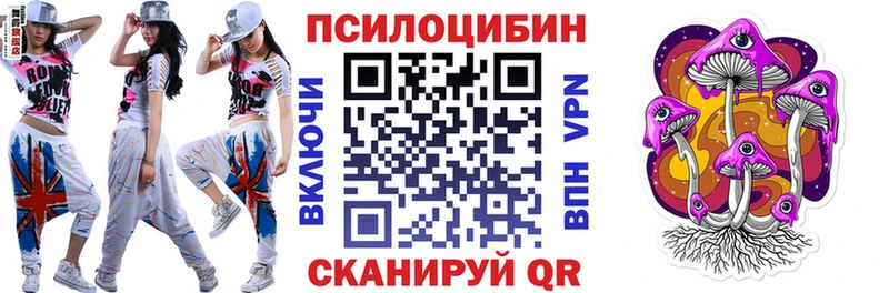 Галлюциногенные грибы Psilocybe  сколько стоит  Углегорск 